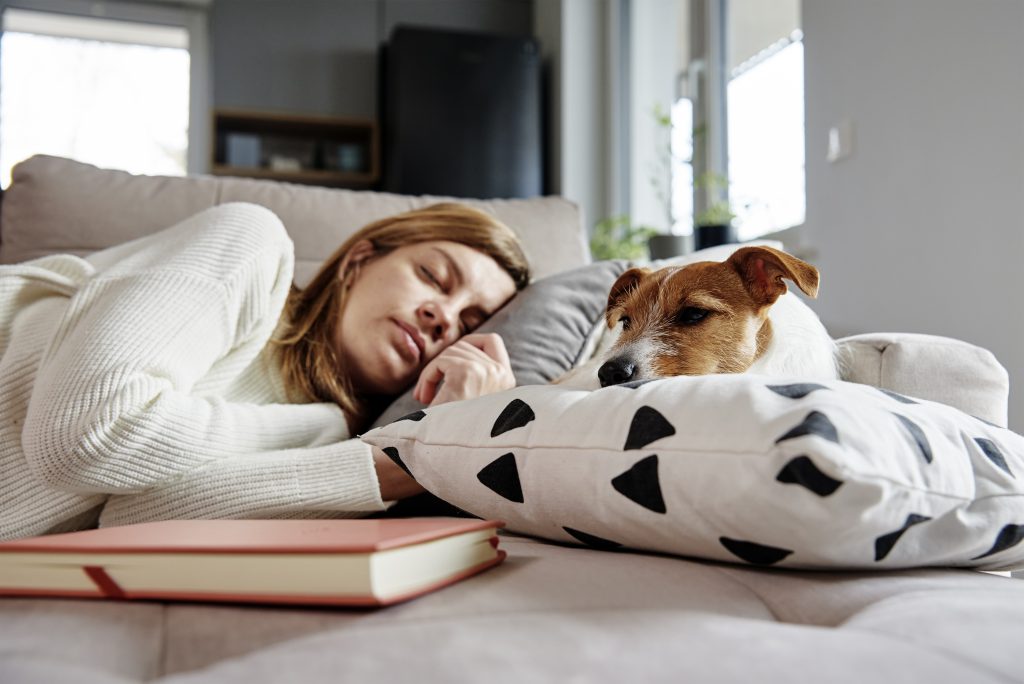 Mujer con alergia a los perros durmiendo en un sofá junto a un perro pequeño de color marrón y blanco descansando en una almohada.